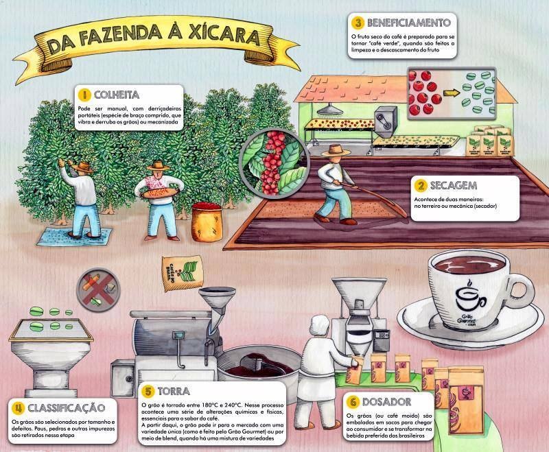 Plantio do café